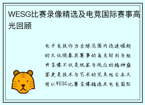 WESG比赛录像精选及电竞国际赛事高光回顾
